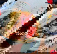 Gyradiko Bexley - Bexley