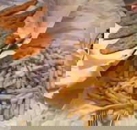 Kingfisher Fish  Chips - Sydney Tourism