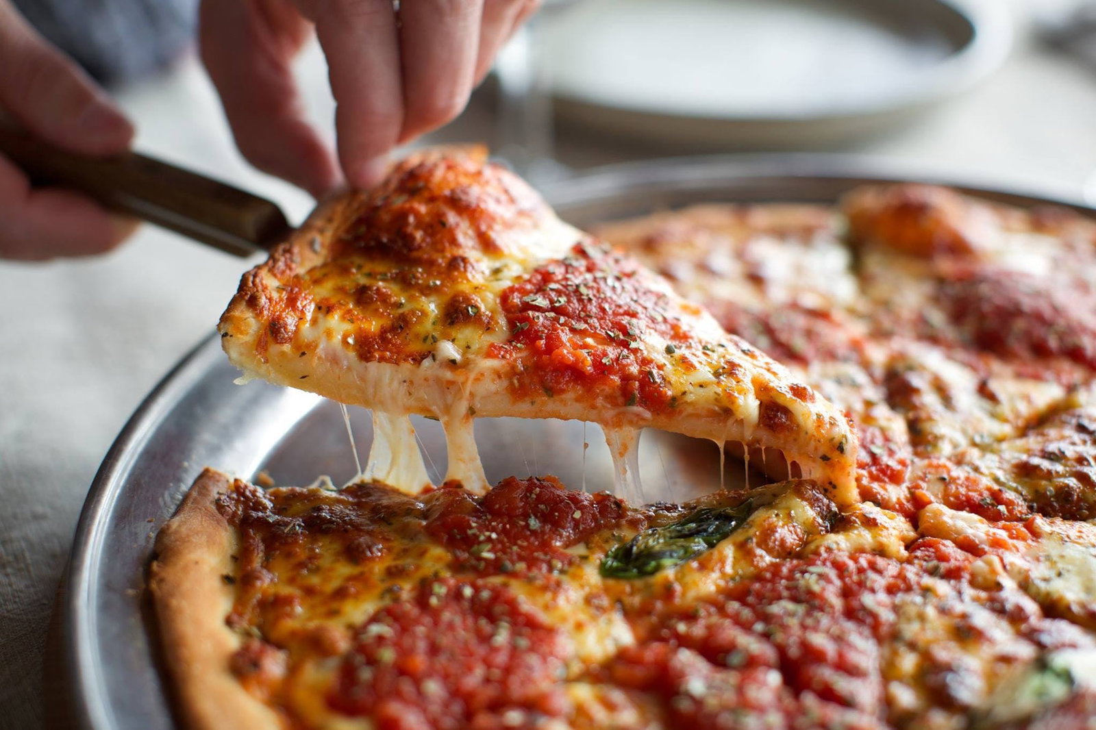 Bayswater North VIC Sydney Tourism