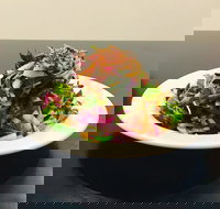 Mai Jia - Sydney Tourism