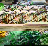 Salud Expresso Bar - Sydney Tourism