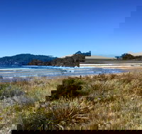 Surf Beach Cafe - Sydney Tourism