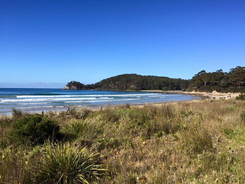 Surf Beach Cafe - Sydney Tourism 0