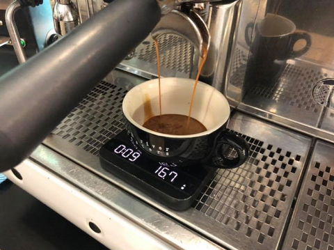 Surf Beach Cafe - Sydney Tourism 1