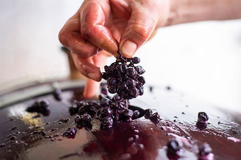 Yelland And Papps - Sydney Tourism 2