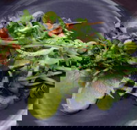 Bellbird - Sydney Tourism