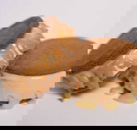 Gelato Messina - South Brisbane - Sydney Tourism