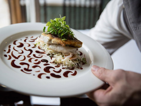 Grazing At Gundaroo - Sydney Tourism 2