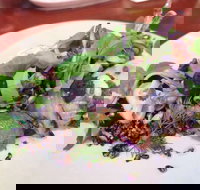 YaYa Bar and Eatery - Sydney Tourism