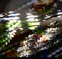 Good Cartel - Sydney Tourism