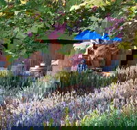 Macquariedale Organic Wines - Sydney Tourism