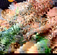 O-sushi - Coolangatta - Sydney Tourism