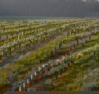 Cape Grace Wines - Sydney Tourism