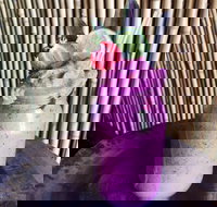 Jungle - Sydney Tourism