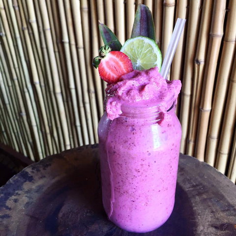 Jungle - Sydney Tourism 0