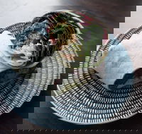 Merlo - Indooroopilly - Sydney Tourism