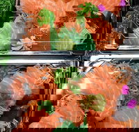 Sushi Izakaya Bar - Sydney Tourism