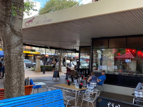 The Sand Goanna - Sydney Tourism 0