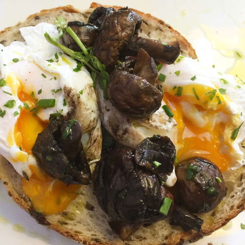 The Laneway Espresso - Sydney Tourism 0