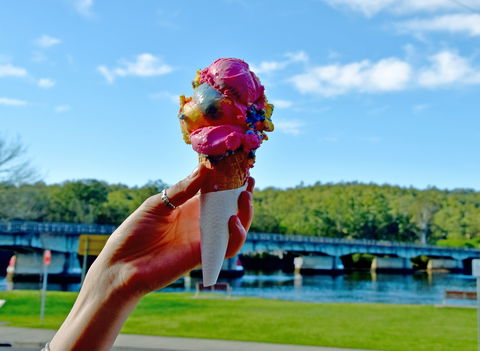 The River Cafe Nelligen - Sydney Tourism 2