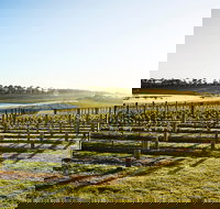 Wine Terrace and Cellar Door at Pt Leo Estate