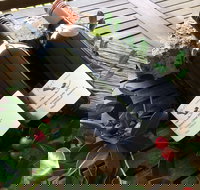 Hill of Promise Winery and Cellar Door - Sydney Tourism