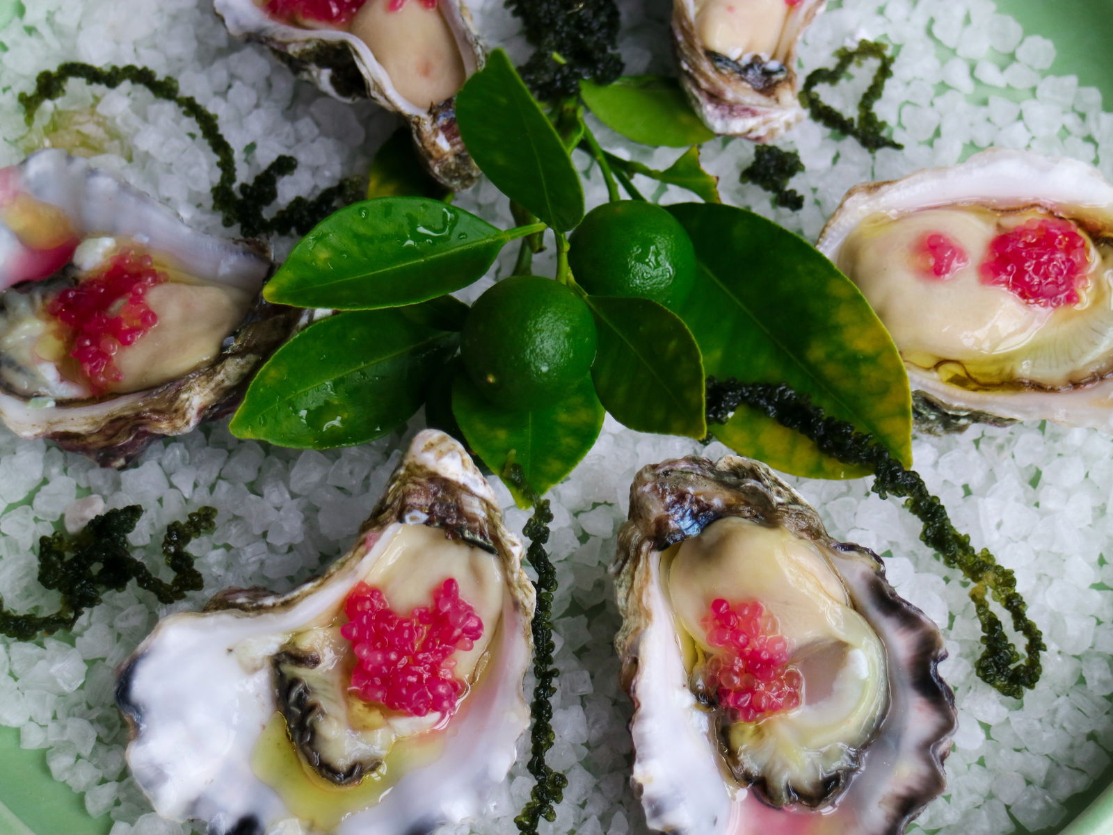 Foxground NSW Sydney Tourism