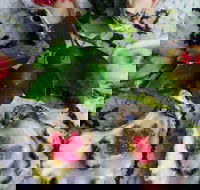 Bella Char Restaurant  Wine Bar - Sydney Tourism