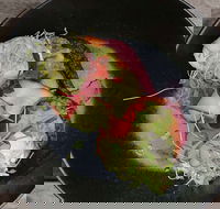 Crowded House - Sydney Tourism