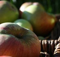 Denmark Heritage Cider Company - Sydney Tourism