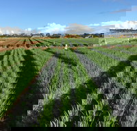 Hawkes Farm - Sydney Tourism