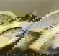 Pearly Oyster Bar and Farm - Sydney Tourism