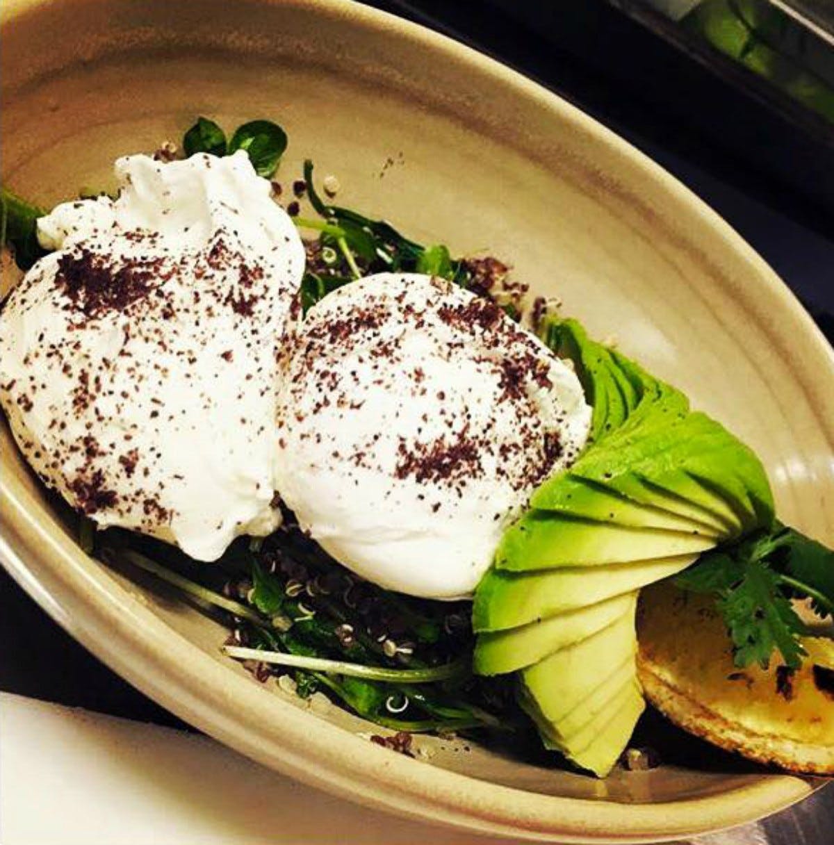 Collaroy NSW Sydney Tourism