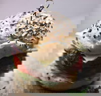 Burger Me Fresh - Sydney Tourism