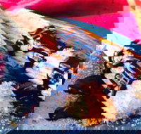 Donut King - Broadmeadows - Sydney Tourism