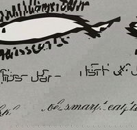 Williamstown Mussels - Sydney Tourism