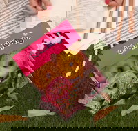 Donut King - Carindale - Sydney Tourism