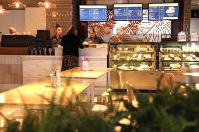 Good Drop Cafe - St Marys Band Club - Sydney Tourism 0