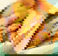 Mrs. Fields - Joondalup - Joondalup