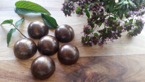 Platypi Chocolate - Sydney Tourism 1