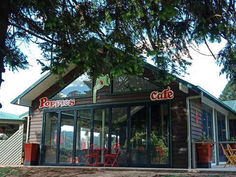 Poppies  Cafe - Sydney Tourism 0
