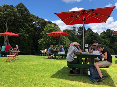 Poppies  Cafe - Sydney Tourism 1