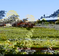 djinta djinta Winery - Sydney Tourism