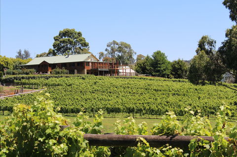 Djinta Djinta Winery - Sydney Tourism 0