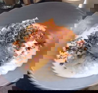 Jimmy Fox - Sydney Tourism