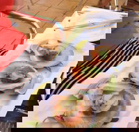 Sirocco Noosa - Sydney Tourism