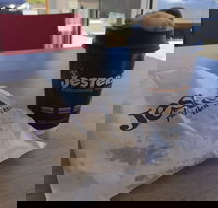 Jesters - Canning Vale