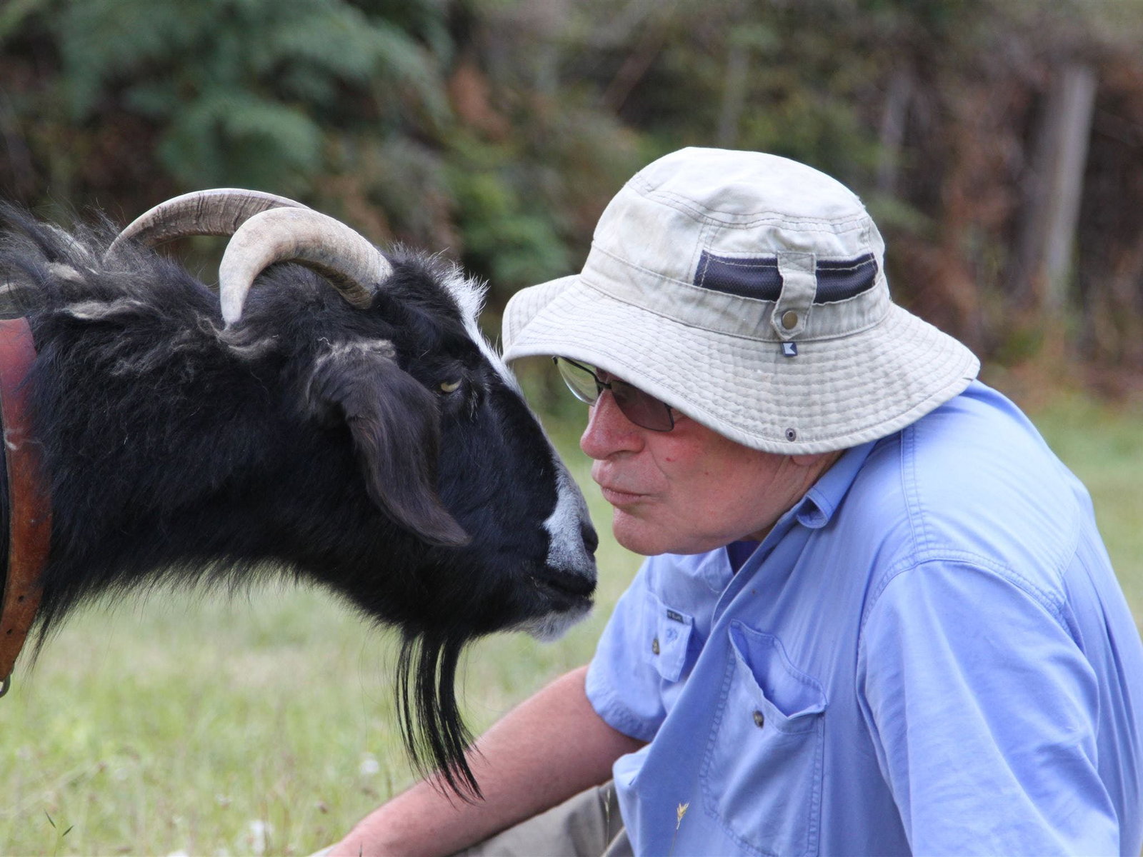 Turners Marsh TAS Sydney Tourism