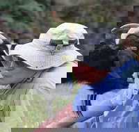 Providence Vineyards - Sydney Tourism