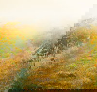 Poonawatta - Sydney Tourism